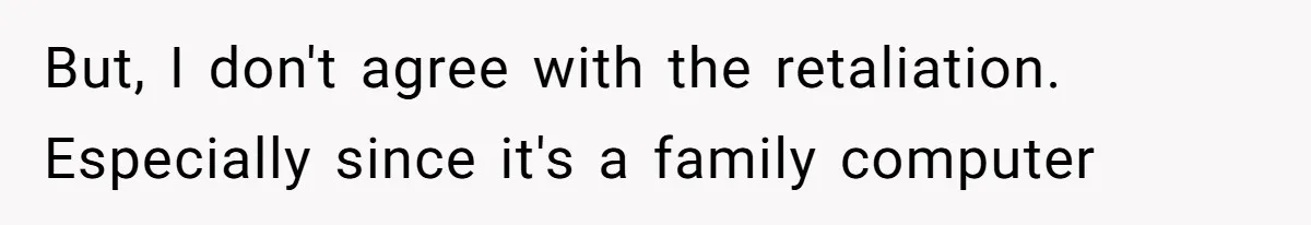 But, I don't agree with the retaliation. Especially since it's a family computer