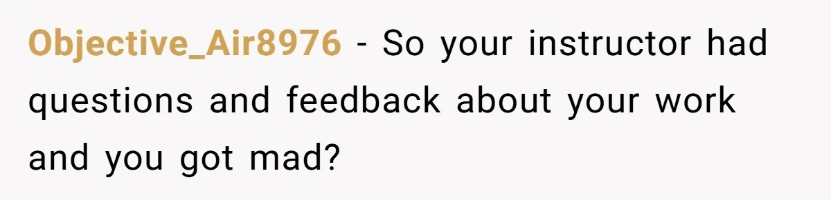 Objective_Air8976 − So your instructor had questions and feedback about your work and you got mad?
