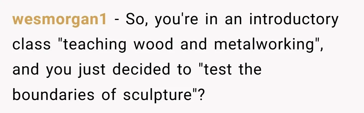 wesmorgan1 − So, you're in an introductory class "teaching wood and metalworking", and you just decided to "test the boundaries of sculpture"?