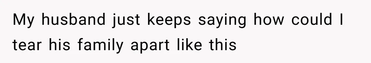 My husband just keeps saying how could I tear his family apart like this