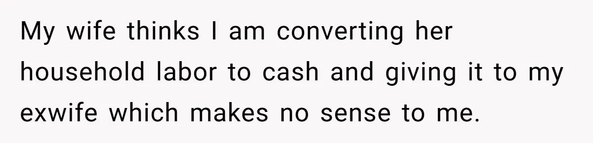 My wife thinks I am converting her household labor to cash and giving it to my exwife which makes no sense to me.