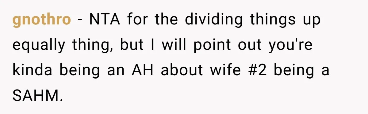 gnothro − NTA for the dividing things up equally thing, but I will point out you're kinda being an AH about wife #2 being a SAHM.