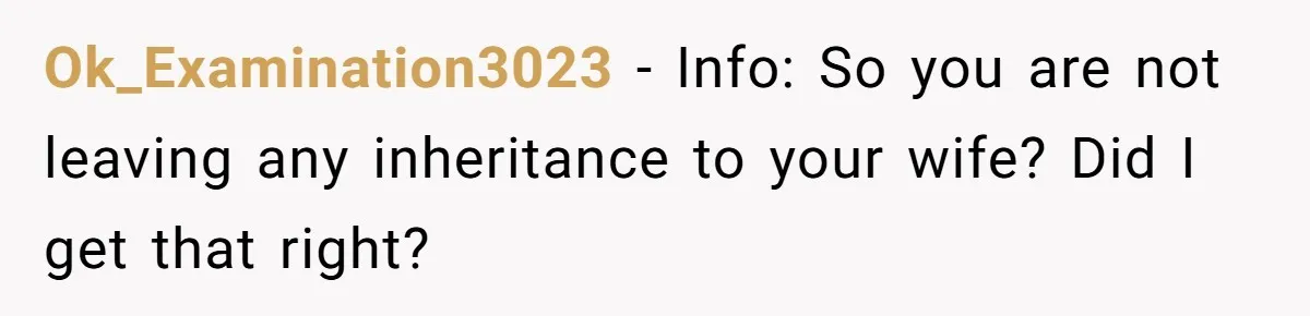 Ok_Examination3023 − Info: So you are not leaving any inheritance to your wife? Did I get that right?