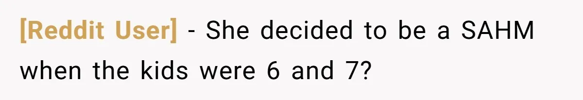 [Reddit User] − She decided to be a SAHM when the kids were 6 and 7?