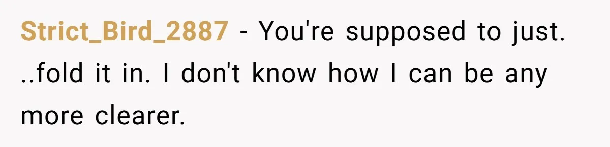 Strict_Bird_2887 − You're supposed to just. ..fold it in. I don't know how I can be any more clearer.