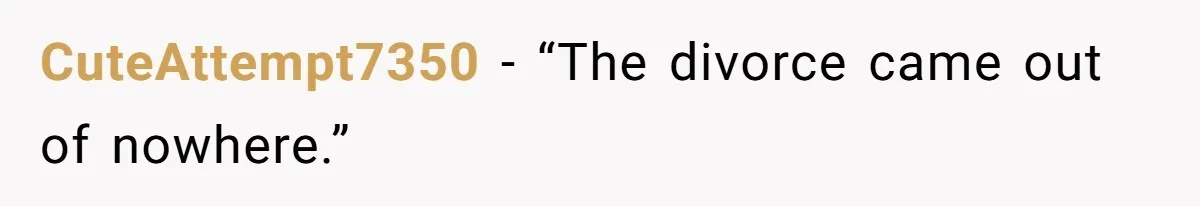 CuteAttempt7350 − “The divorce came out of nowhere.”