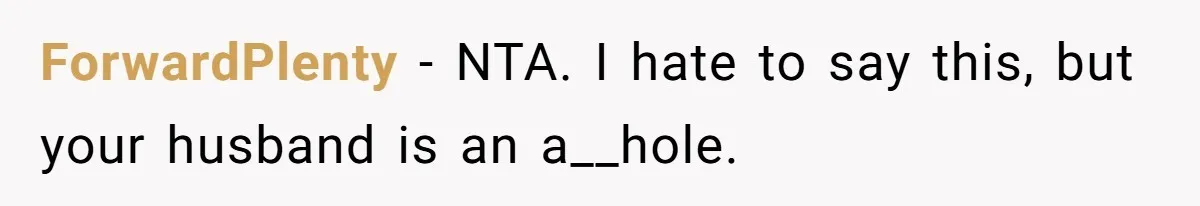 ForwardPlenty − NTA. I hate to say this, but your husband is an a__hole.