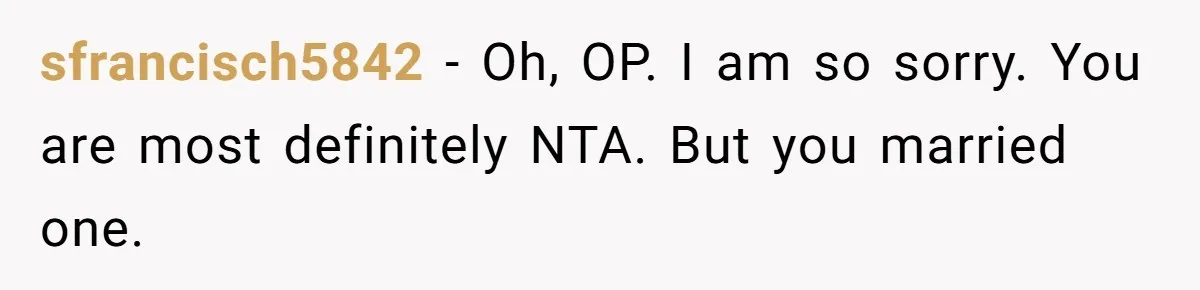 sfrancisch5842 − Oh, OP. I am so sorry. You are most definitely NTA. But you married one.
