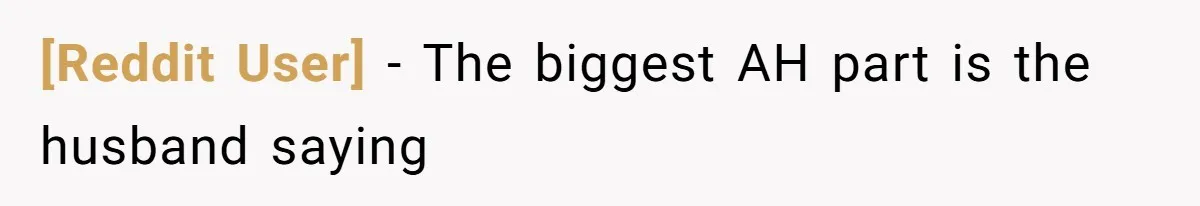 [Reddit User] − The biggest AH part is the husband saying