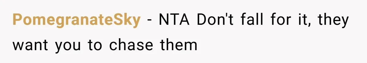 PomegranateSky − NTA Don't fall for it, they want you to chase them