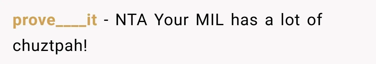 prove____it − NTA Your MIL has a lot of chuztpah!