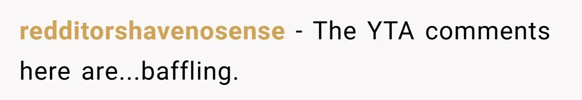 redditorshavenosense − The YTA comments here are...baffling.