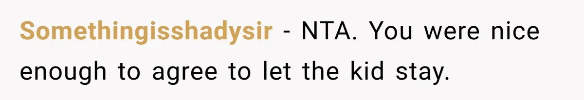 Somethingisshadysir − NTA. You were nice enough to agree to let the kid stay.