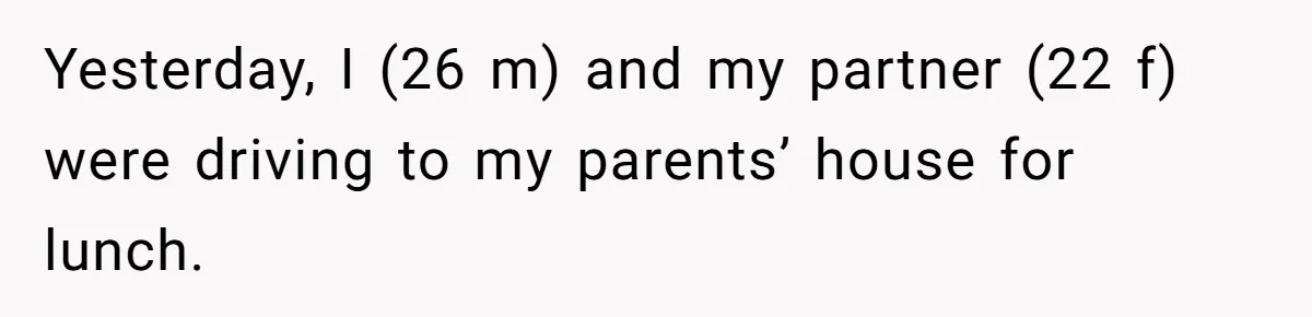Yesterday, I (26 m) and my partner (22 f) were driving to my parents’ house for lunch.