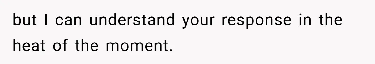 but I can understand your response in the heat of the moment.