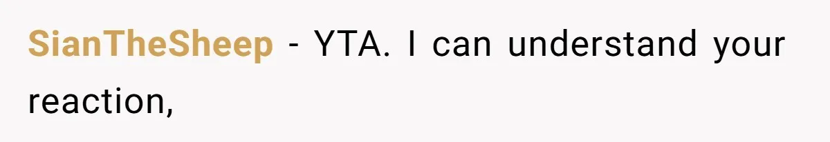 SianTheSheep − YTA. I can understand your reaction,