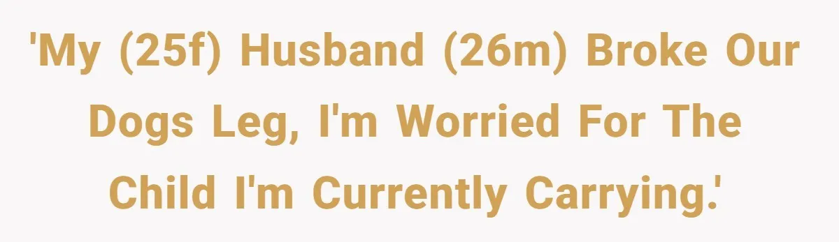 'My (25F) husband (26M) broke our dogs leg, I'm worried for the child I'm currently carrying.'