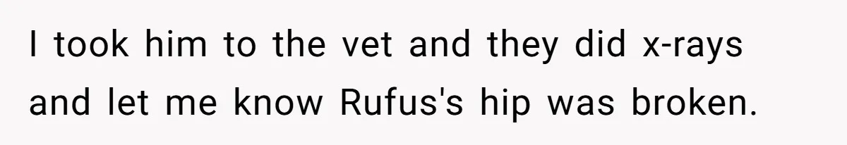 I took him to the vet and they did x-rays and let me know Rufus's hip was broken.