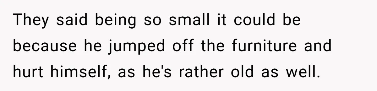 They said being so small it could be because he jumped off the furniture and hurt himself, as he's rather old as well.