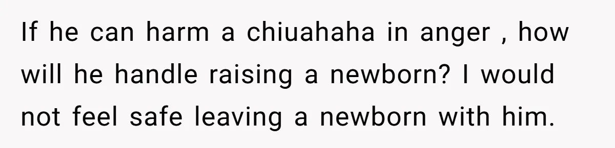 If he can harm a chiuahaha in anger , how will he handle raising a newborn? I would not feel safe leaving a newborn with him.