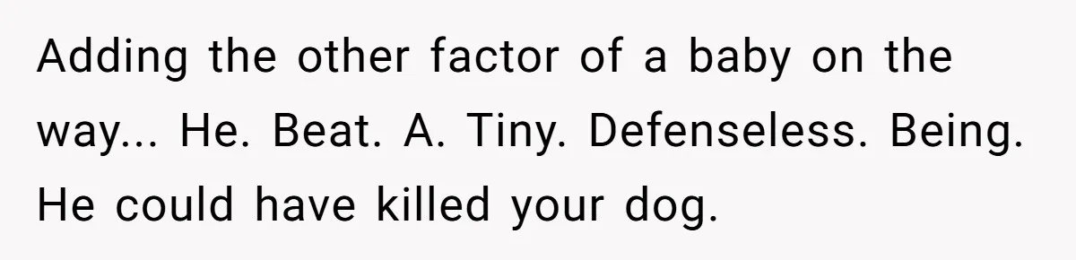 Adding the other factor of a baby on the way... He. Beat. A. Tiny. Defenseless. Being. He could have killed your dog.