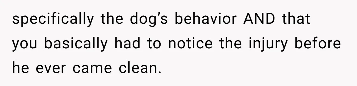 specifically the dog’s behavior AND that you basically had to notice the injury before he ever came clean.