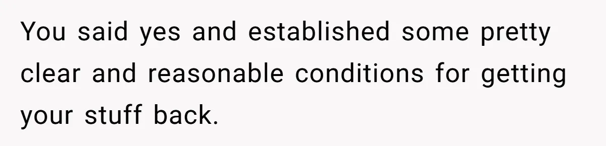 You said yes and established some pretty clear and reasonable conditions for getting your stuff back.
