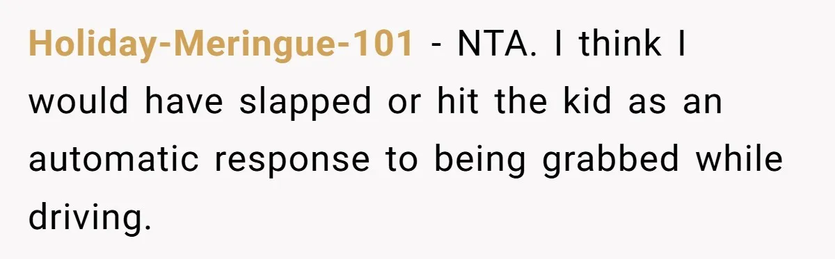 Holiday-Meringue-101 − NTA. I think I would have slapped or hit the kid as an automatic response to being grabbed while driving.