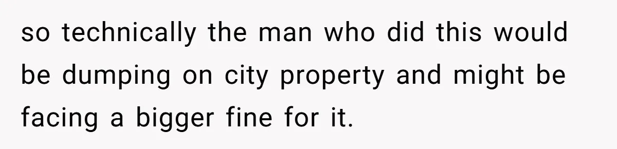 so technically the man who did this would be dumping on city property and might be facing a bigger fine for it.