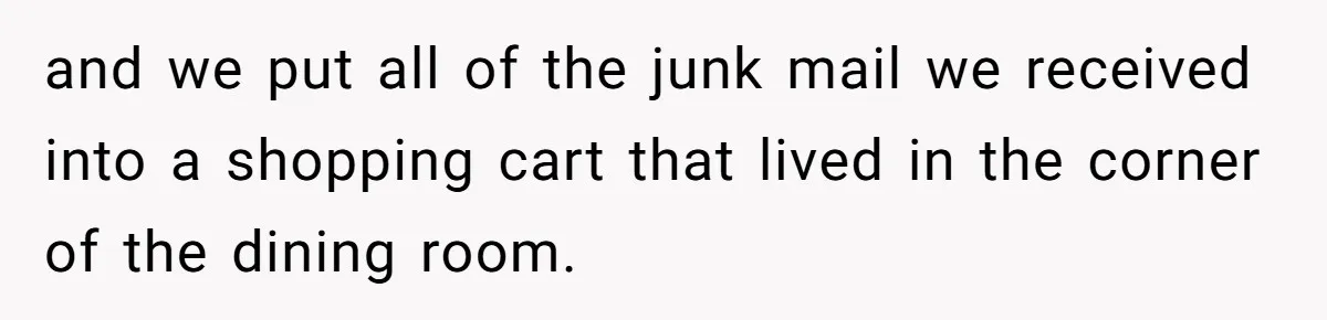 and we put all of the junk mail we received into a shopping cart that lived in the corner of the dining room.