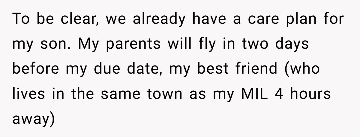 To be clear, we already have a care plan for my son. My parents will fly in two days before my due date, my best friend (who lives in the...