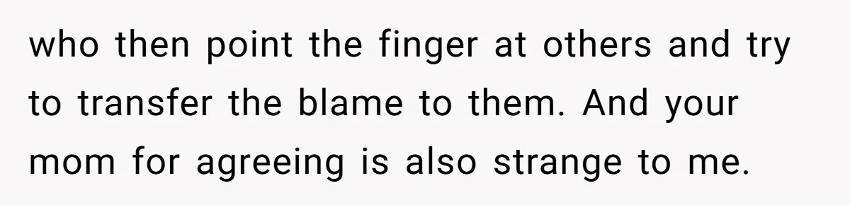 who then point the finger at others and try to transfer the blame to them. And your mom for agreeing is also strange to me.