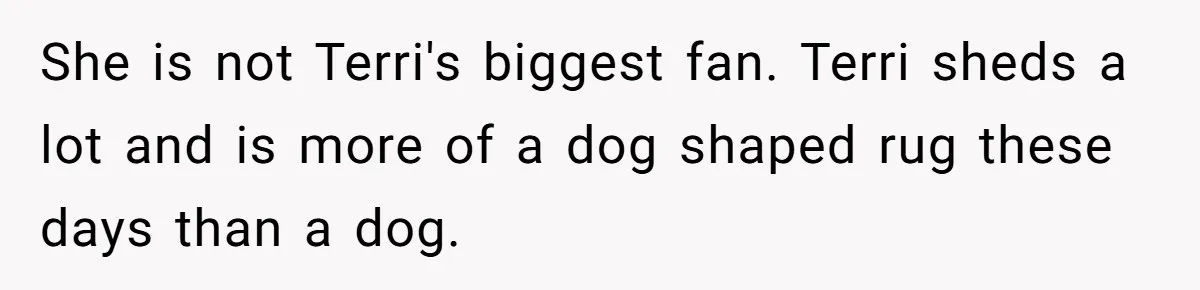 She is not Terri's biggest fan. Terri sheds a lot and is more of a dog shaped rug these days than a dog.