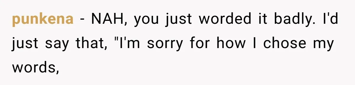 punkena − NAH, you just worded it badly. I'd just say that, "I'm sorry for how I chose my words,