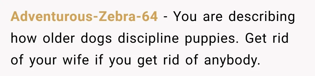 Adventurous-Zebra-64 − You are describing how older dogs discipline puppies. Get rid of your wife if you get rid of anybody.
