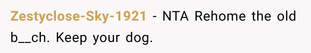 Zestyclose-Sky-1921 − NTA Rehome the old b__ch. Keep your dog.