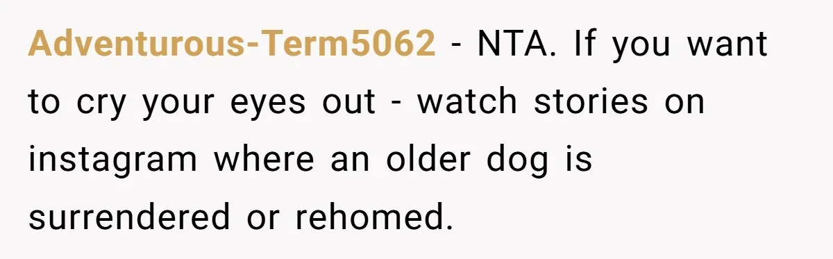 Adventurous-Term5062 − NTA. If you want to cry your eyes out - watch stories on instagram where an older dog is surrendered or rehomed.