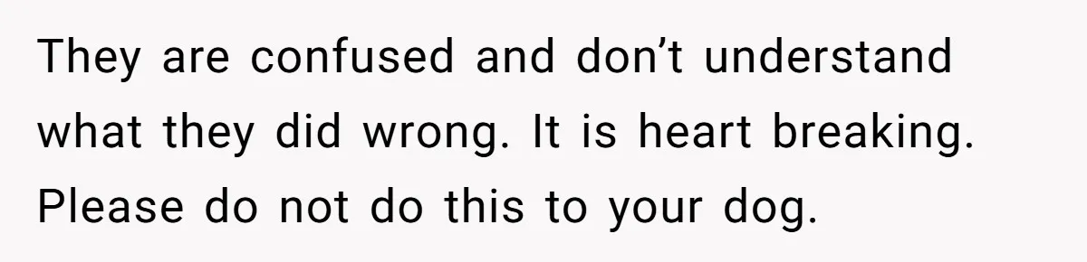 They are confused and don’t understand what they did wrong. It is heart breaking. Please do not do this to your dog.