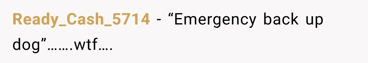 Ready_Cash_5714 − “Emergency back up dog”…….wtf….
