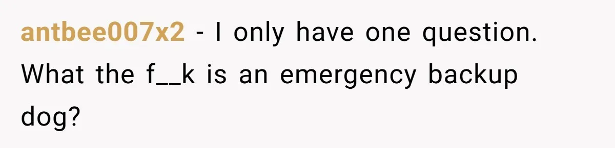 antbee007x2 − I only have one question. What the f__k is an emergency backup dog?
