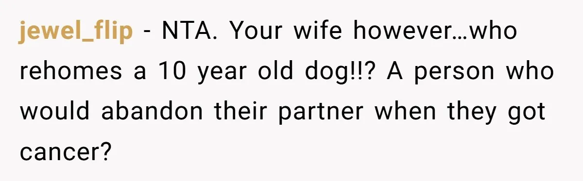jewel_flip − NTA. Your wife however…who rehomes a 10 year old dog!!? A person who would abandon their partner when they got cancer?
