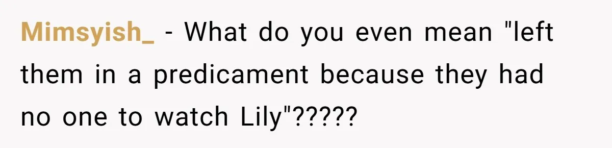 Mimsyish_ − What do you even mean "left them in a predicament because they had no one to watch Lily"?????