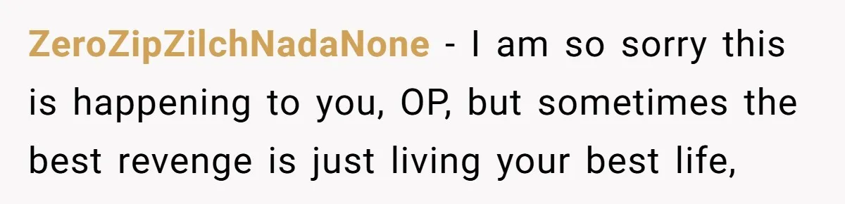 ZeroZipZilchNadaNone − I am so sorry this is happening to you, OP, but sometimes the best revenge is just living your best life,