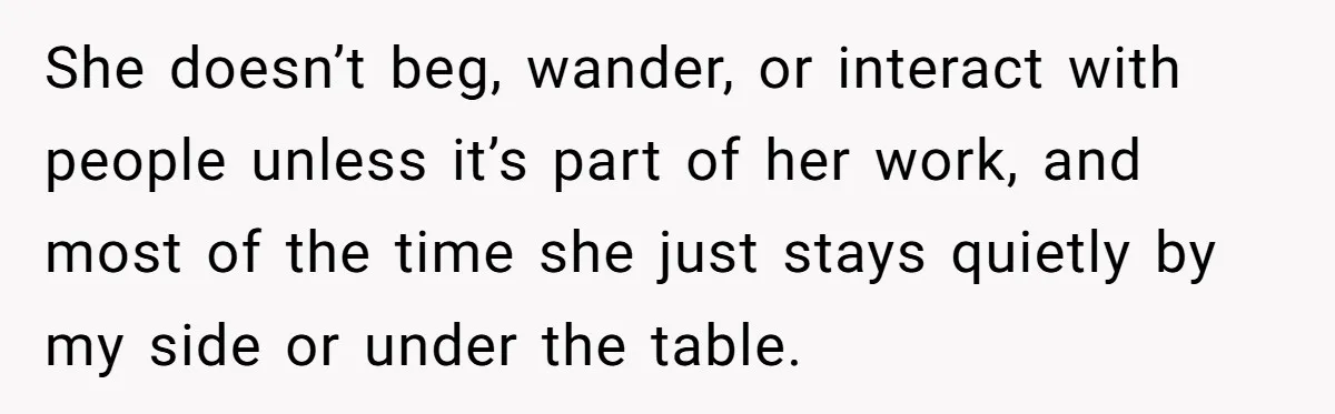 She doesn’t beg, wander, or interact with people unless it’s part of her work, and most of the time she just stays quietly by my side or under the table.