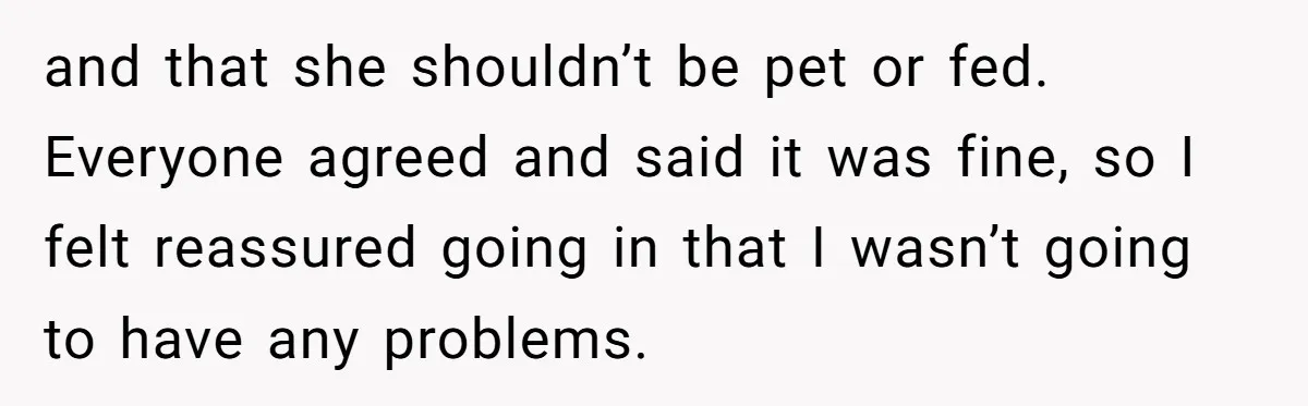 and that she shouldn’t be pet or fed. Everyone agreed and said it was fine, so I felt reassured going in that I wasn’t going to have any problems.