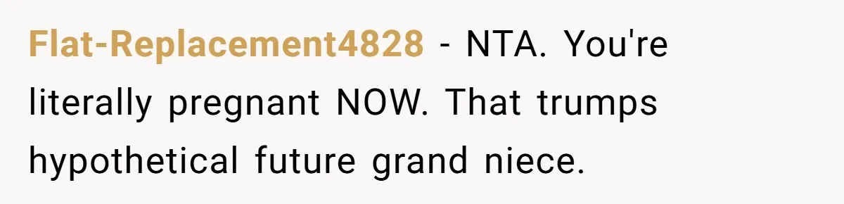 Flat-Replacement4828 − NTA. You're literally pregnant NOW. That trumps hypothetical future grand niece.