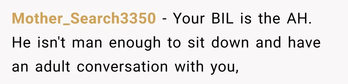 Mother_Search3350 − Your BIL is the AH. He isn't man enough to sit down and have an adult conversation with you,