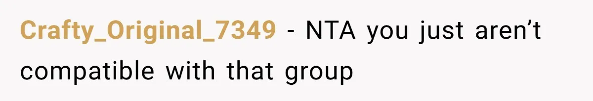 Crafty_Original_7349 − NTA you just aren’t compatible with that group