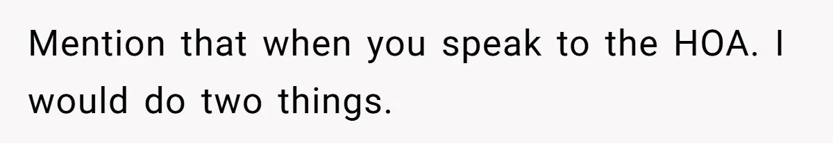 Mention that when you speak to the HOA. I would do two things.