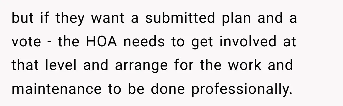 but if they want a submitted plan and a vote - the HOA needs to get involved at that level and arrange for the work and maintenance to be done...